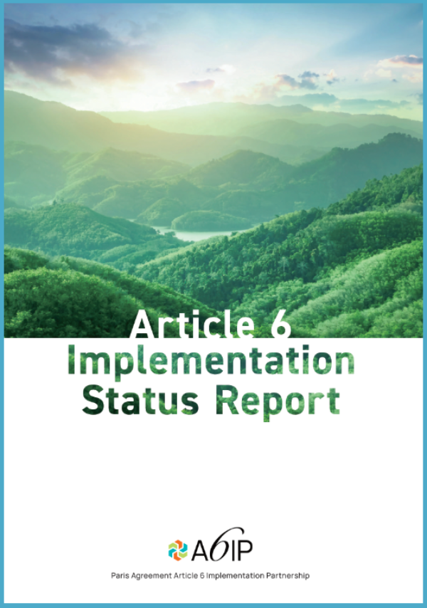 Article 6 Implementation Status Report cover