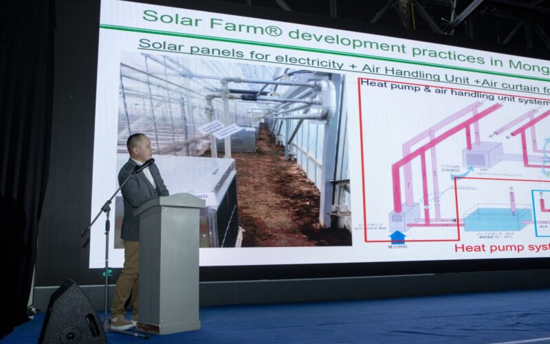 Everyday Farm presentation