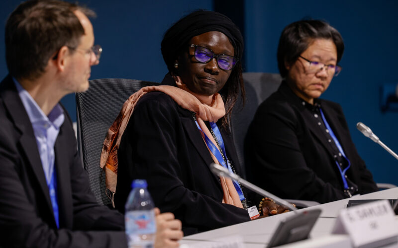 Speaker from A6IP event in Azerbaijan