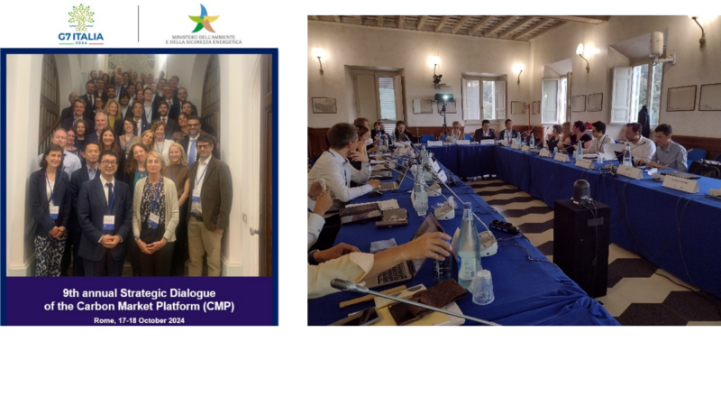 9th annual strategic dialogue of the carbon market platform(CMP)