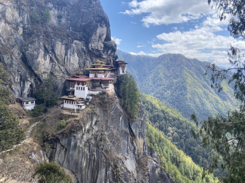 Article 6.4 Supervisory Body