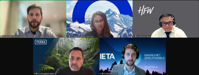A6IP-IETA Private Sector Working Group Meeting of the Paris Agreement Article 6 Implementation Partnership/ COP29 Outcomes and 2025 Outlook “Moving Ahead with Article 6 Implementation”