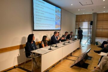 Update on progress and the way forward for the Paris Agreement Article 6 Implementation Partnership and Market Infrastructure