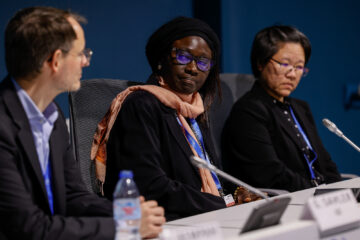 Speaker from A6IP event in Azerbaijan