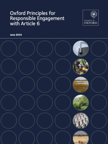 Oxford Principles for Responsible Engagement with Article 6