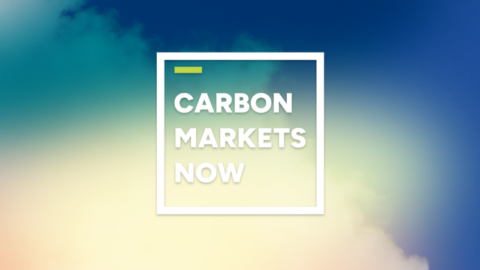 Carbon Markets now