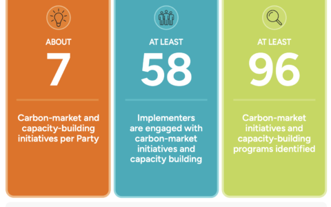 Displays key messages on "International Carbon-Market Initiatives and Capacity-Building Landscape"