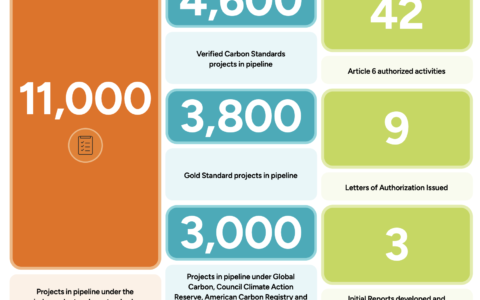 Displays key messages on "The Role of Independent Carbon Standards to Support Article 6 Implementation"