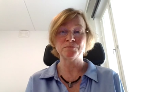 Marianne Tikkanen, Puro Earth