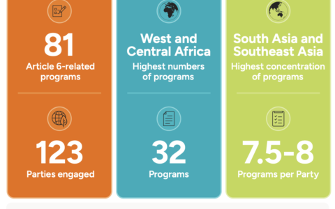 Displays key messages on "International Carbon-Market Initiatives and Capacity-Building Landscape"