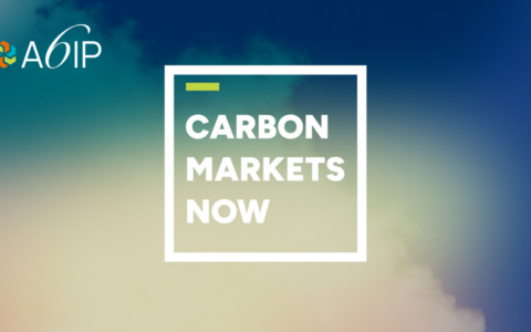 Carbonmarketsnow logo 02