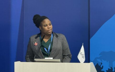 Dr. Nkiruka Maduekwe