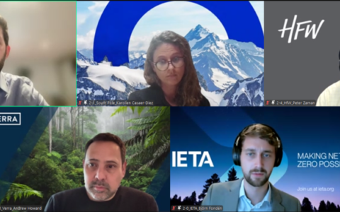A6IP-IETA Private Sector Working Group Meeting of the Paris Agreement Article 6 Implementation Partnership/ COP29 Outcomes and 2025 Outlook “Moving Ahead with Article 6 Implementation”