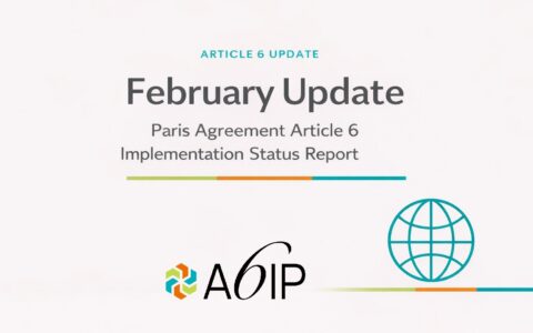 Banner announcing the February Update of the Paris Agreement Article 6 Implementation Status Report with A6IP logo.