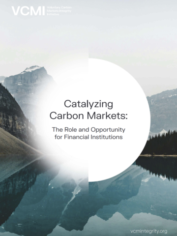 Catalyzing Carbon Markets Financial Institutions