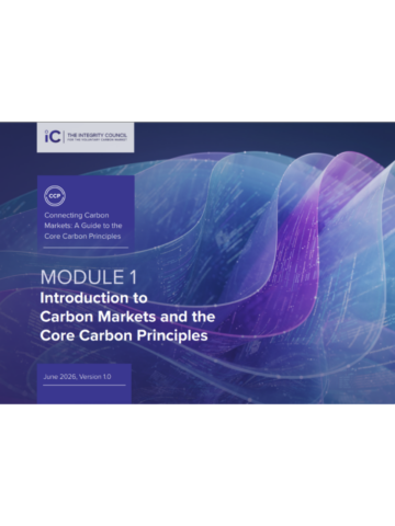 Connecting Carbon Markets A guide to the Core Carbon Principles