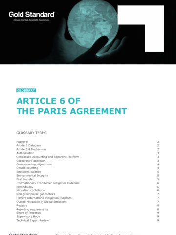 GS Article 6 Glossary