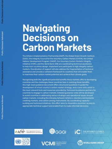 Navigating Decisions on Carbon Markets