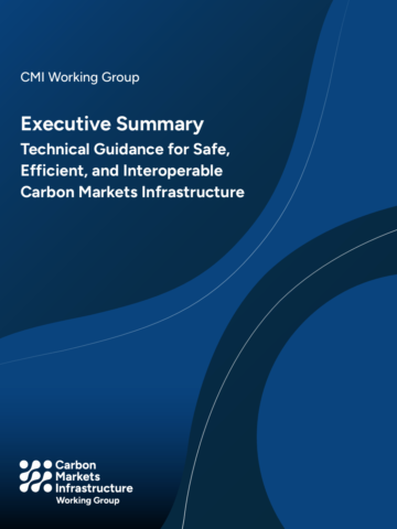 Technical Guidance for Carbon Markets Infrastructure