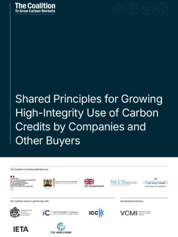 The Coalition to Grow Carbon Markets Shared Principles