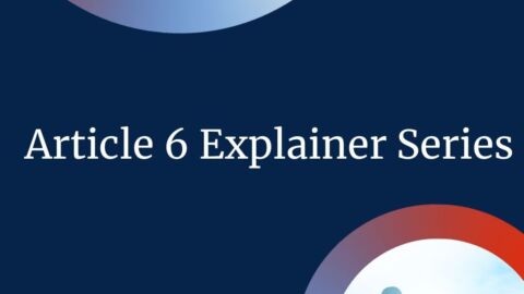 Article 6 Explainer Series
