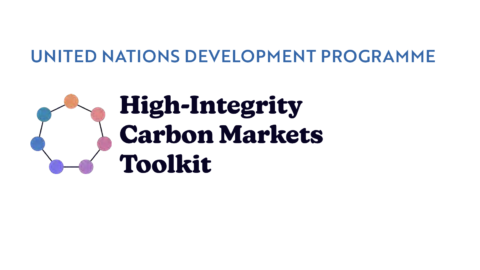 UNDP Carbon Market Toolkits